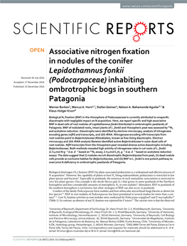 Associative Nitrogen Fixation in Nodules of The