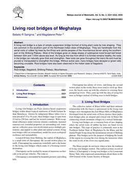 Living Root Bridges of Meghalaya