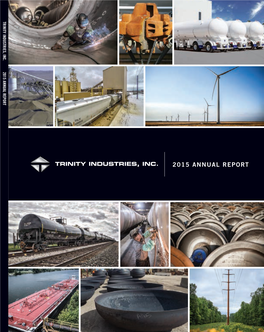 2015 Annual Report