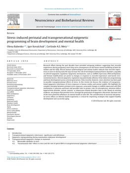 Stress-Induced Perinatal and Transgenerational Epigenetic