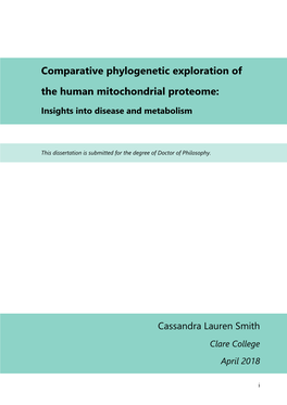 Comparative Phylogenetic Exploration of the Human Mitochondrial Proteome