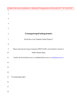 Caenogastropod Mitogenomics