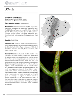 Nombre Científico: Palicourea Guianensis Aubl