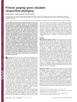 Primate Jumping Genes Elucidate Strepsirrhine Phylogeny