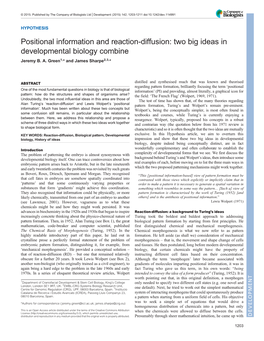 Two Big Ideas in Developmental Biology Combine Jeremy B