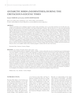 During the Cretaceous-Eocene Times