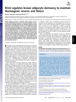 BCL6 Regulates Brown Adipocyte Dormancy to Maintain Thermogenic Reserve and Fitness