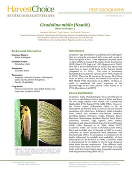 Cicadulina Mbila (Naudé) (Maize Leafhopper ) Panagiotis Mylonas1, Tania Yonow2,3, and Darren J