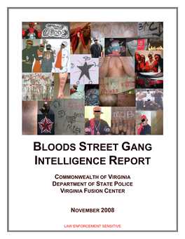 Bloods Street Gang Intelligence Report