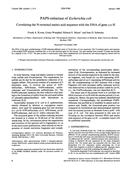 PAPS-Reductase of Escherichia Coli