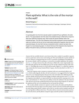 Plant Epithelia: What Is the Role of the Mortar in the Wall?