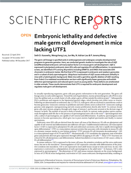 Embryonic Lethality and Defective Male Germ Cell Development in Mice Lacking UTF1 Received: 22 April 2016 Seth D