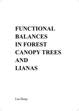 Functional Balances in Forest Canopy Trees and Lianas