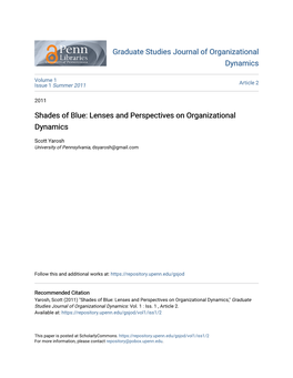 Shades of Blue: Lenses and Perspectives on Organizational Dynamics