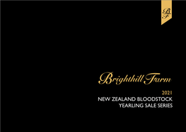 2021 Nzb Yearling Sale Series