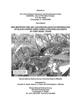 Red Imported Fire Ant (Solenopsis Invicta) Depredation of Black-Capped Vireo (Vireo Atricapillus) Nests at Fort Hood, Texas