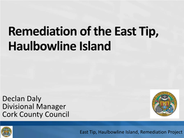 Presentation Outline: Regularisation of the East Tip 1