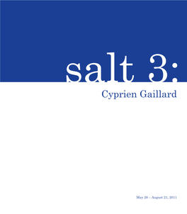 Cyprien Gaillard 3