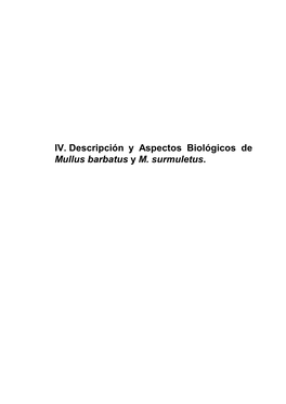 IV. Descripción Y Aspectos Biológicos De Mullus Barbatus Y M. Surmuletus. Descripción Y Aspectos Biológicos