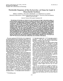 Nucleotide Sequence of the Escherichia Coli Gene for Lipid a Disaccharide Synthase DRING N