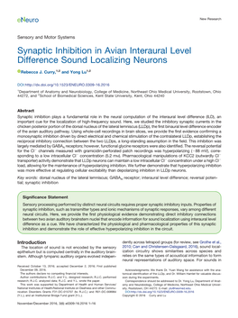 Synaptic Inhibition in Avian Interaural Level Difference Sound Localizing Neurons