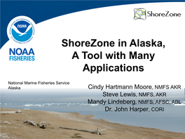 Shorezone in Alaska, a Tool with Many Applications