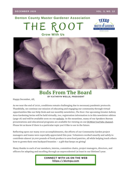 The Root December 2020 Newsletter