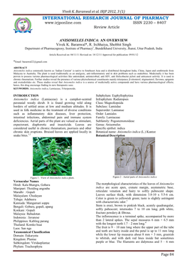 ANISOMELES INDICA: an OVERVIEW Vivek K
