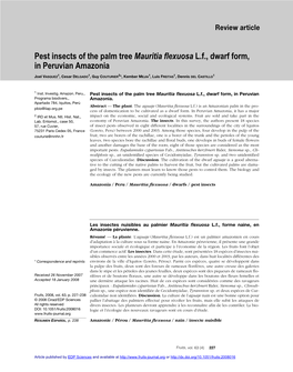 Pest Insects of the Palm Tree Mauritia Flexuosa L.F., Dwarf Form, in Peruvian Amazonia