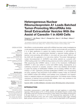 Downloaded from Mirbase (Release 21) and Non-Coding RNA Downloaded from Genbank1 Protein Identiﬁcation by Mass (Homo Sapiens.Grch38.Ncrna) with Bowtie 2