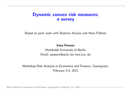 Dynamic Convex Risk Measures: a Survey