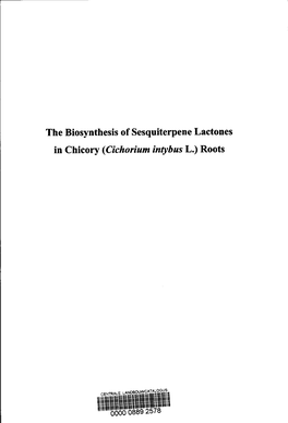 The Biosynthesis of Sesquiterpene Lactones in Chicory {Cichoriumintybus L