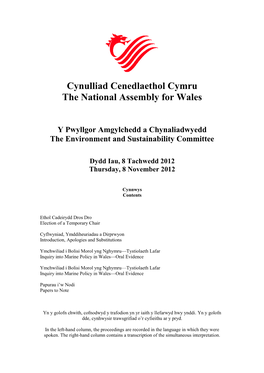 Cynulliad Cenedlaethol Cymru the National Assembly for Wales