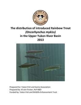 The Distribution of Introduced Rainbow Trout (Oncorhynchus Mykiss) in the Upper Yukon River Basin 2013
