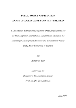 Public Policy and Ideation : a Case of a Grey-Zone Country