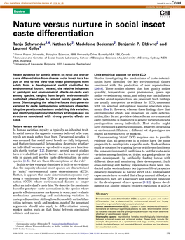 Nature Versus Nurture in Social Insect Caste Differentiation