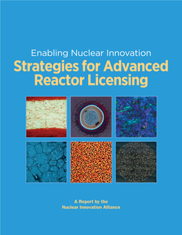 Strategies for Advanced Reactor Licensing