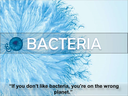 Bacteria – the Benign, the Bad and the Beautiful