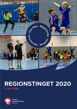 Regionstinget 2020 11