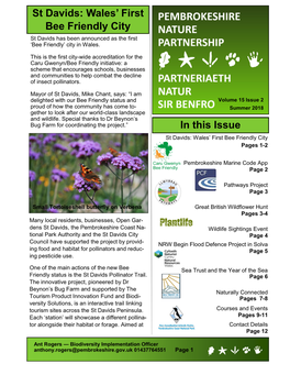 In This Issue St Davids: Wales' First Bee Friendly City