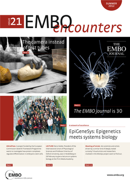 Epigenesys: Epigenetics Meets Systems Biology