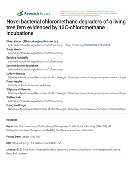 Novel Bacterial Chloromethane Degraders of a Living Tree Fern Evidenced by 13C-Chloromethane Incubations