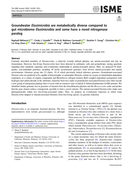 Groundwater Elusimicrobia Are Metabolically Diverse Compared to Gut Microbiome Elusimicrobia and Some Have a Novel Nitrogenase Paralog