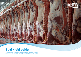 Beef Yield Guide Animal to Carcase, to Primals, to Muscles