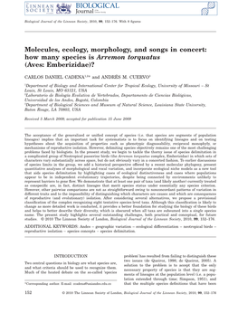 Molecules, Ecology, Morphology, and Songs in Concert: How Many Species Is Arremon Torquatus (Aves: Emberizidae)?