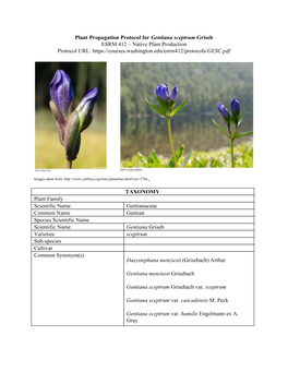 Plant Propagation Protocol for ​Gentiana Sceptrum ​Griseb