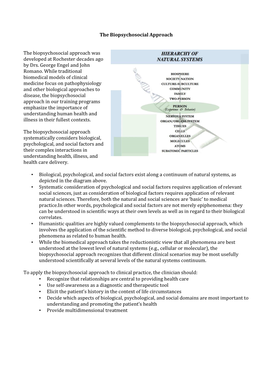 Biopsychosocial Model