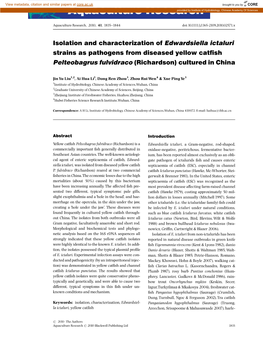 Isolation and Characterization of Edwardsiella Ictaluri Strains As Pathogens from Diseased Yellow Catﬁsh Pelteobagrus Fulvidraco (Richardson) Cultured in China