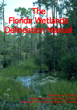 Florida Wetlands Delineation Manual