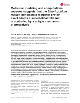 Molecular Modeling and Computational Analyses Suggests